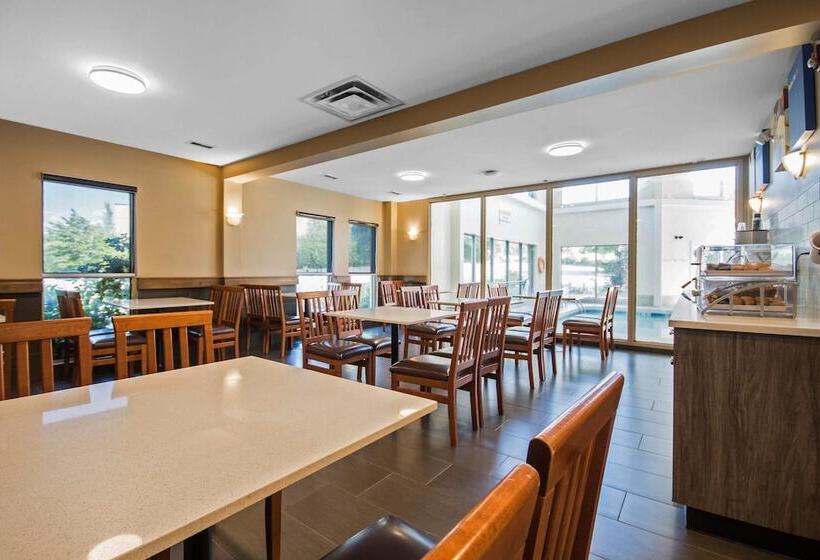 酒店 Comfort Inn & Suites