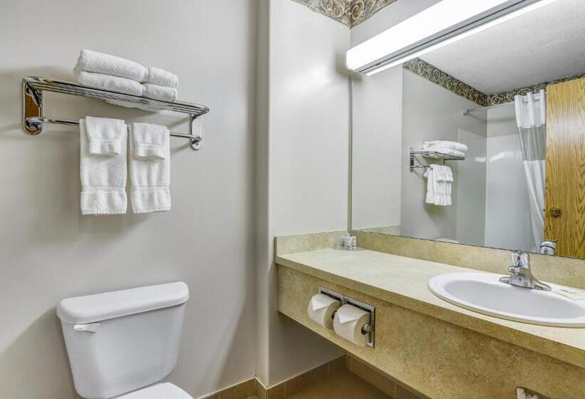 בית מלון כפרי Days Inn By Wyndham Red Deer