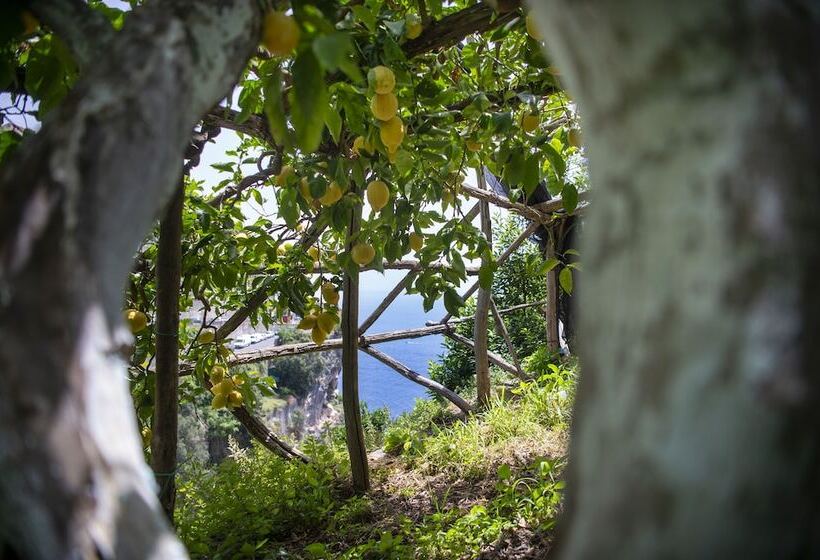 هتل La Pergola