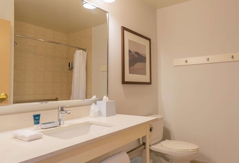 هتل Lakeview Signature, Trademark Collection By Wyndham