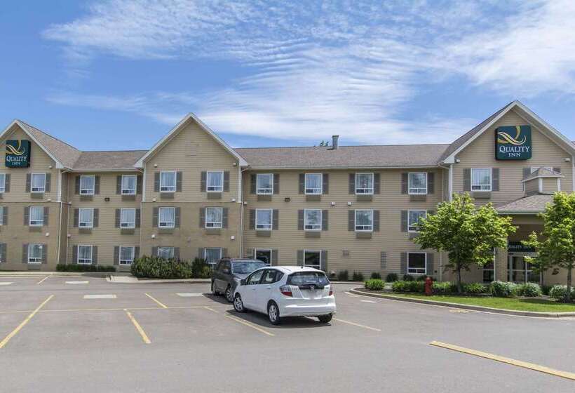 هتل Quality Inn Airport