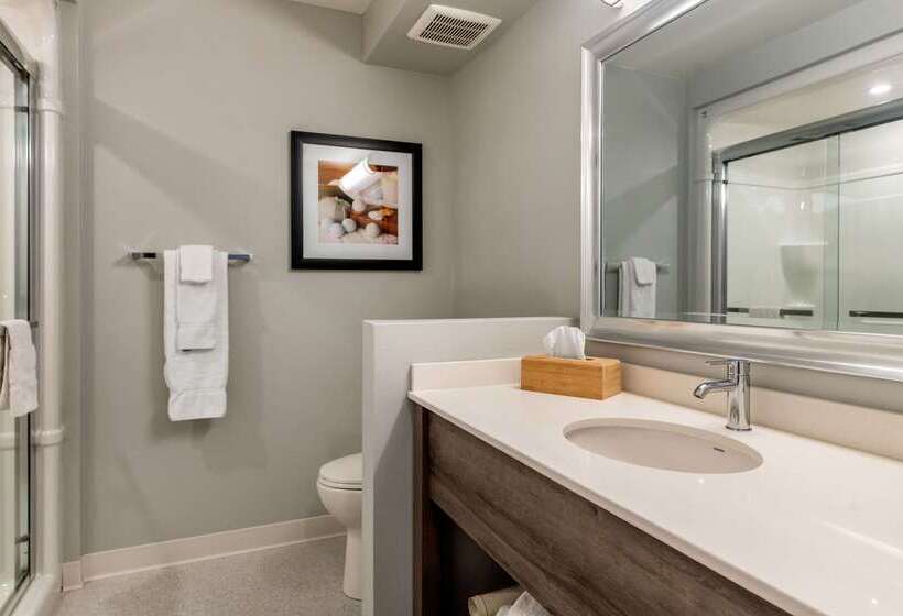 هتل Quality Inn & Suites Amsterdam