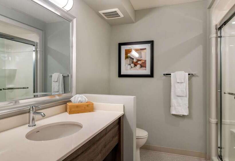 هتل Quality Inn & Suites Amsterdam