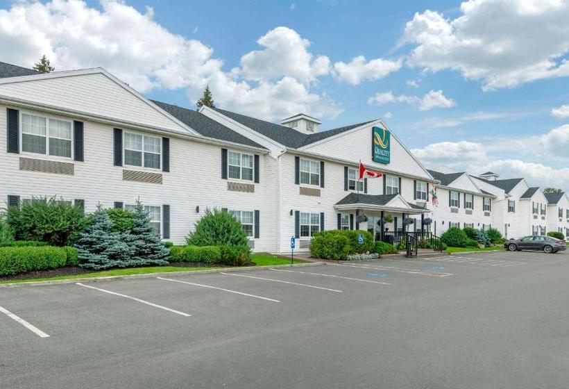 فندق Quality Inn & Suites