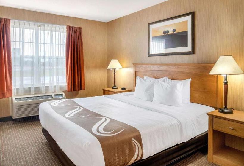 酒店 Quality Inn & Suites