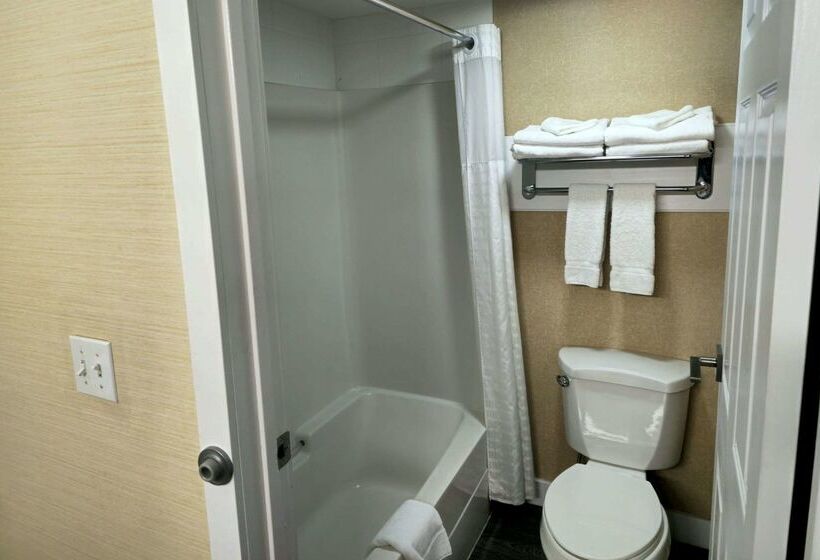 هتل Rodeway Inn & Suites