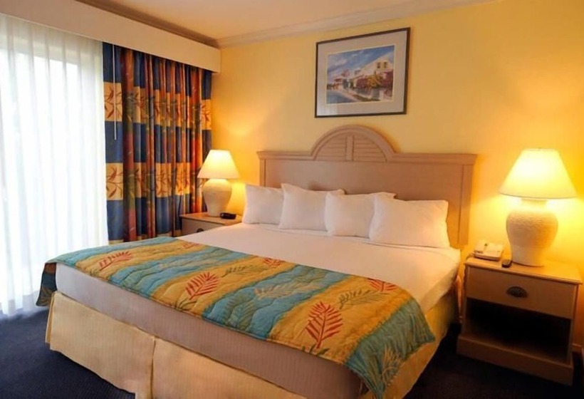 호텔 Bay View Suites Paradise Island