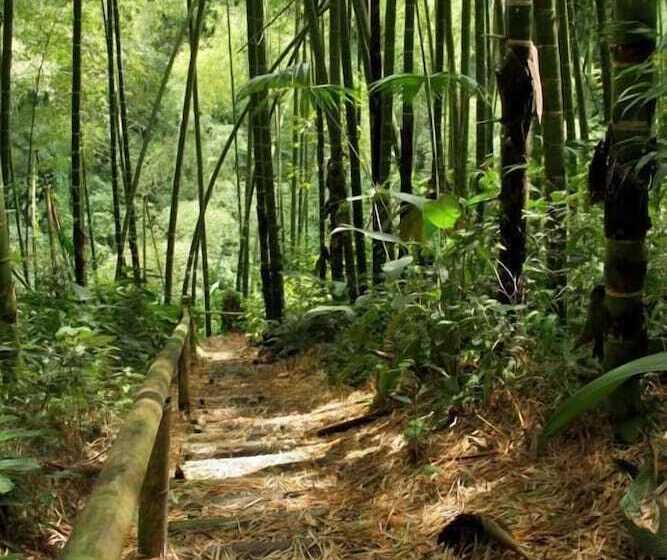 هتل Campestre La Floresta