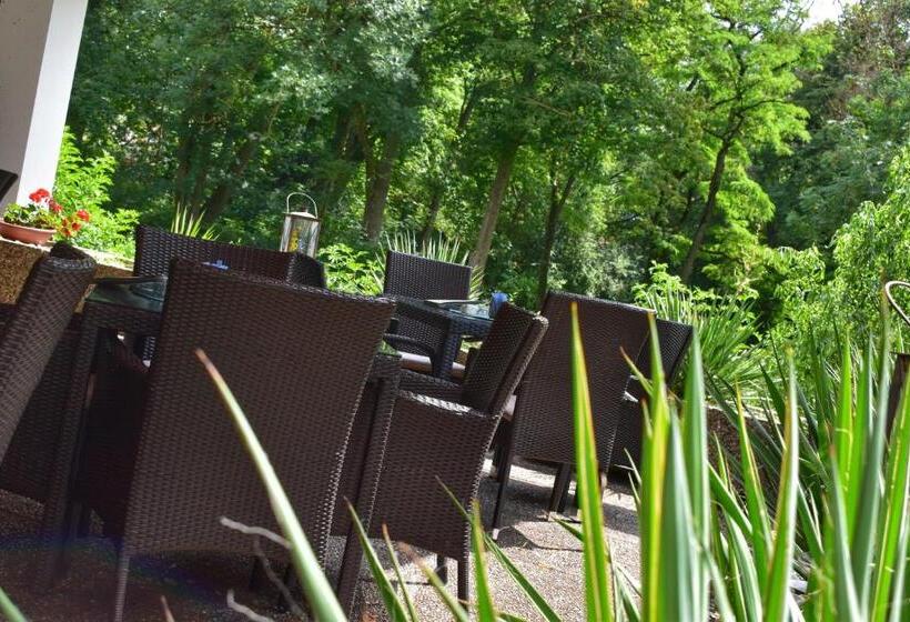 בית מלון כפרי Reichels Park