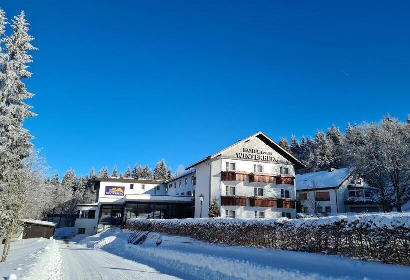 فندق Winterberg Resort