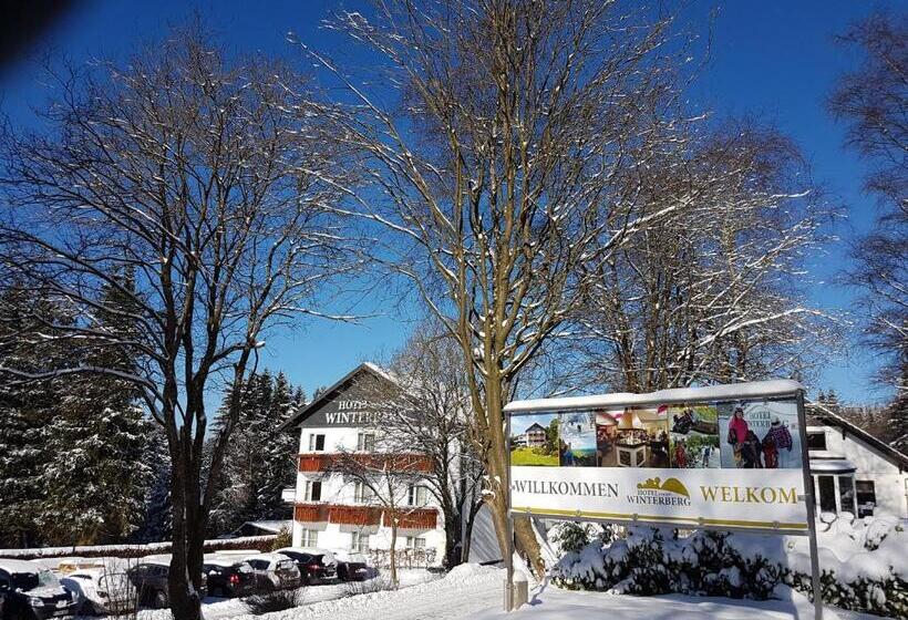 فندق Winterberg Resort