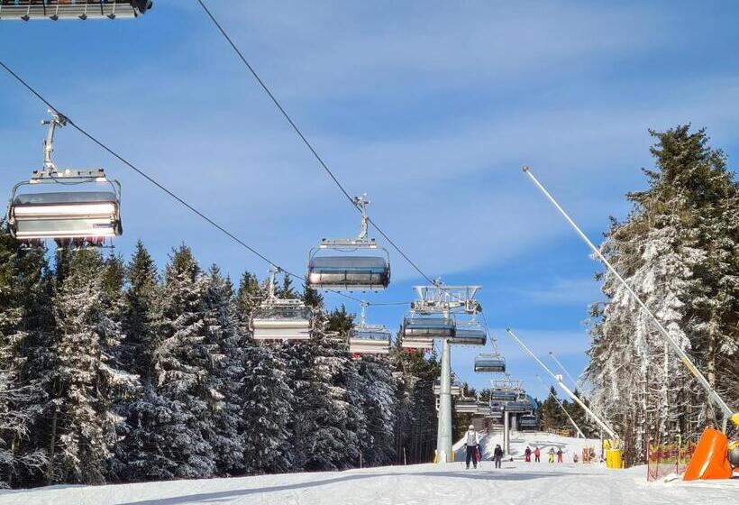 فندق Winterberg Resort