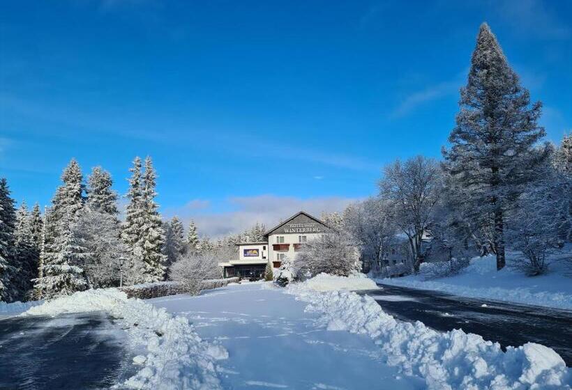 فندق Winterberg Resort