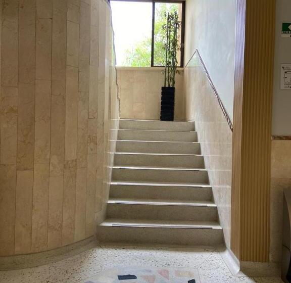 هتل Sanfrancisco De Asis