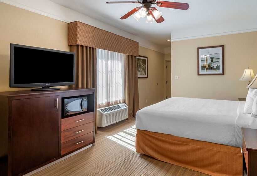 בית מלון כפרי Best Western Plus Monica Royale Inn & Suites