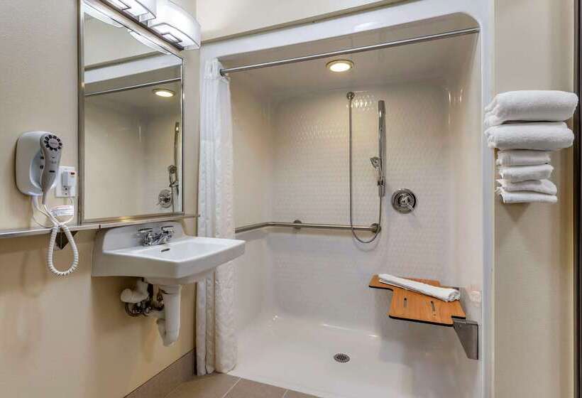 בית מלון כפרי Comfort Inn & Suites Dimondale   Lansing