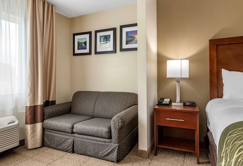 فندق Comfort Inn & Suites Dimondale   Lansing