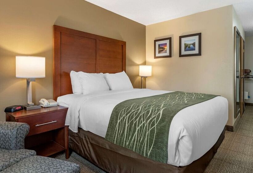 בית מלון כפרי Comfort Inn & Suites Dimondale   Lansing