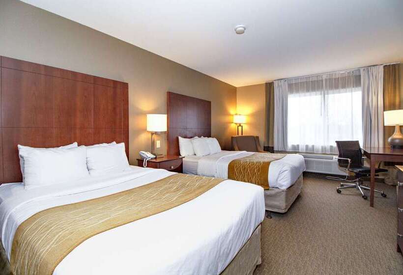 هتل Comfort Inn & Suites East Moline Near I 80