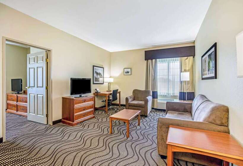 هتل La Quinta Inn & Suites By Wyndham Corpus Christi Northwest