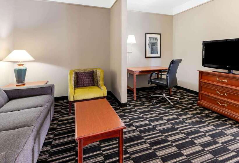 酒店 La Quinta By Wyndham Roswell