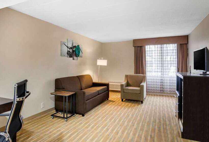 ホテル Quality Inn & Suites