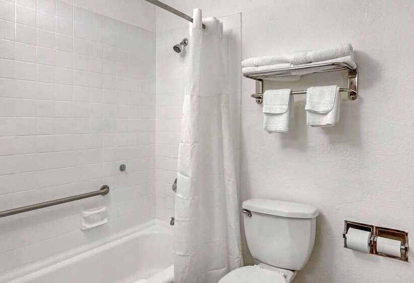 ホテル Quality Inn & Suites