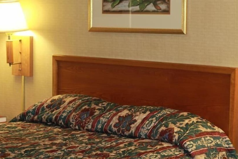 فندق Palmetto Inn Florence