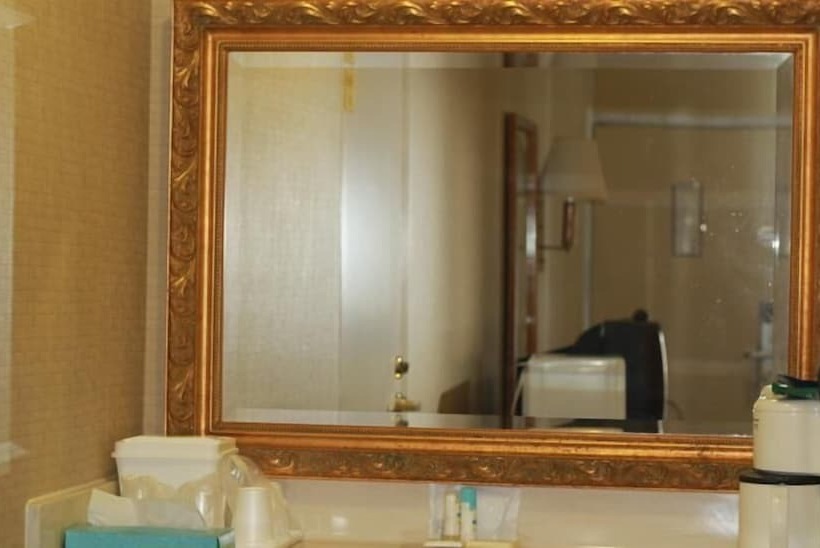 فندق Palmetto Inn Florence