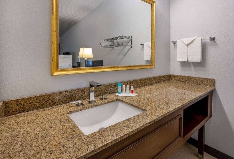 هتل Travelodge By Wyndham Appleton