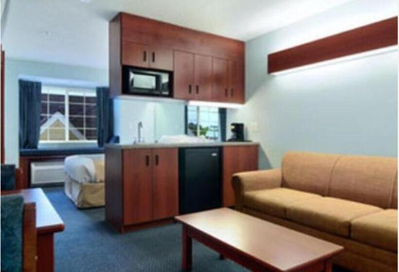 Microtel Inn & Suites By Wyndham Gardendale