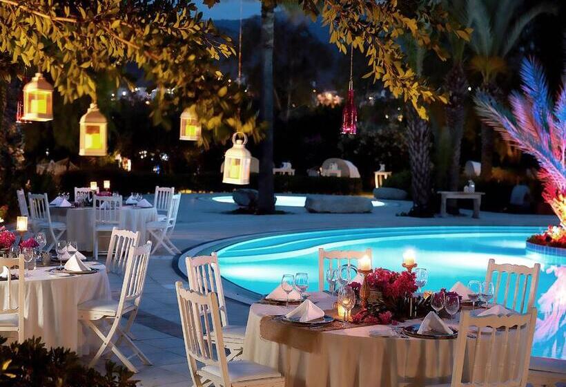 هتل Divan Bodrum Palmira