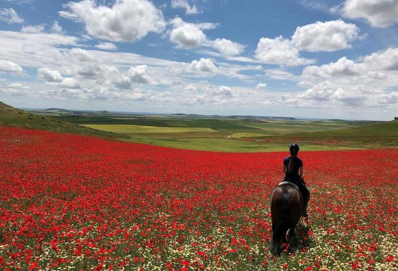 هتل روستایی Ibersol La Casona de Andrea