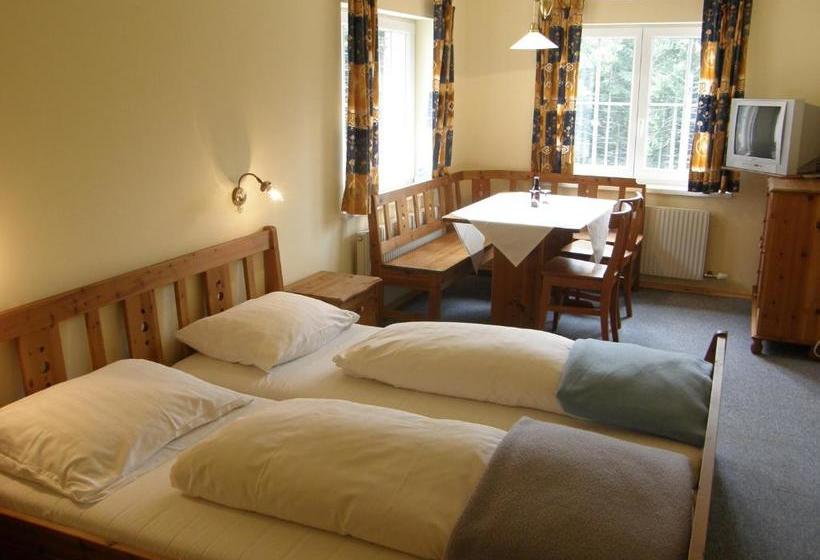 Alpenhotel Enzian