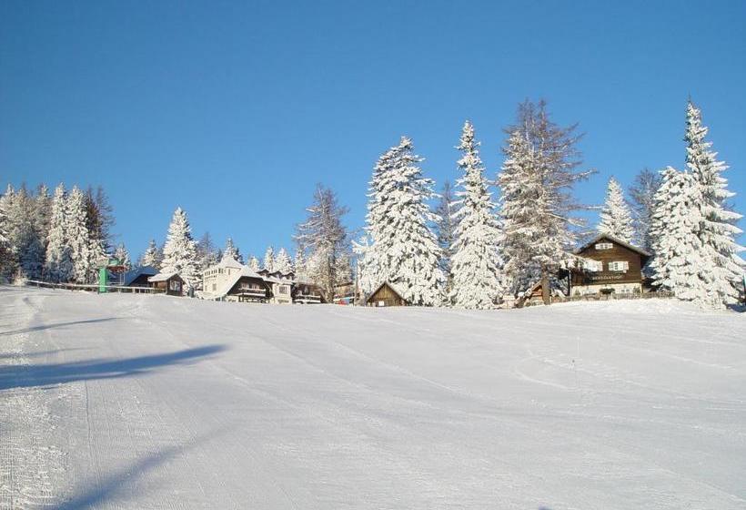 Alpenhotel Enzian