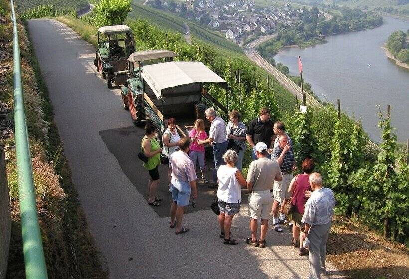 ベッドアンドブレックファースト Ferienweingut Hirschen Schulstraße