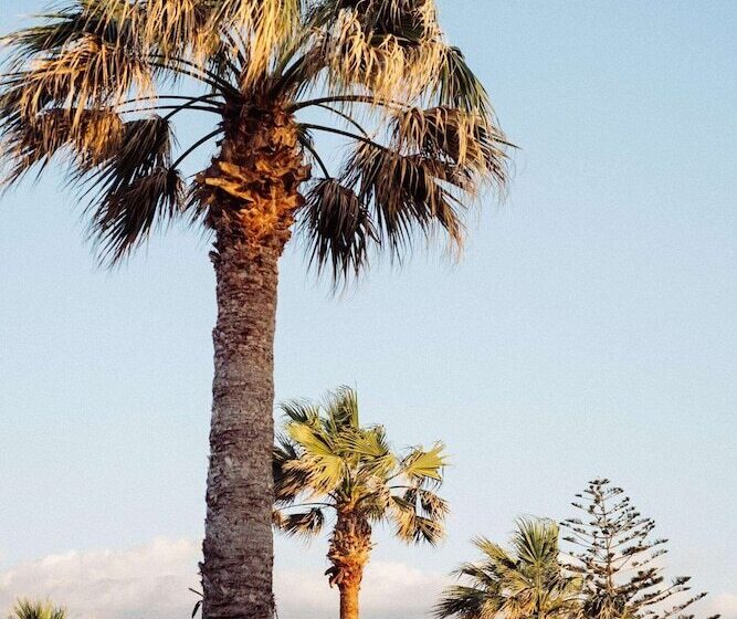 Phāea Cretan Malia, A Member Of Design Hotels