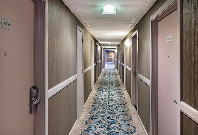 酒店 Leonardo Brighton