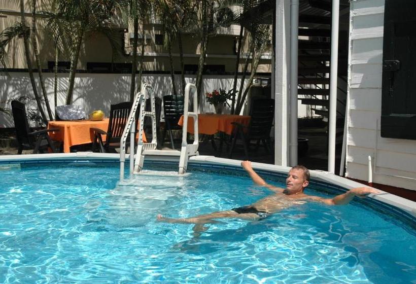 هتل Guesthouse Albergoalberga