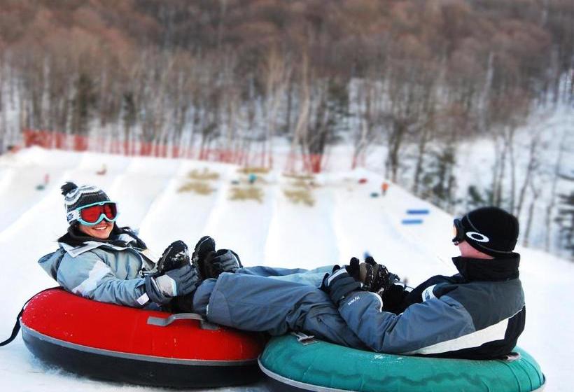 فندق Horseshoe Resort