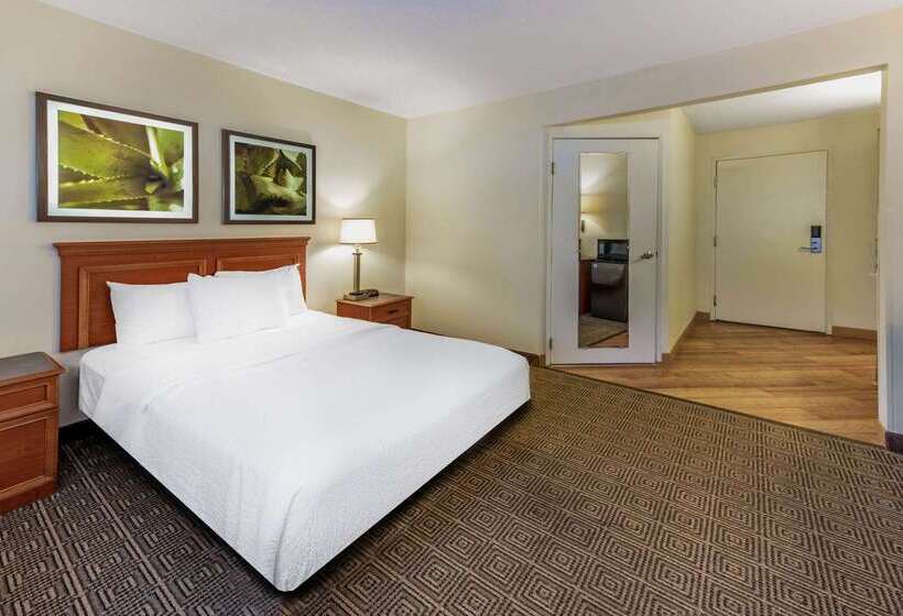 בית מלון כפרי La Quinta By Wyndham Tampa Brandon West