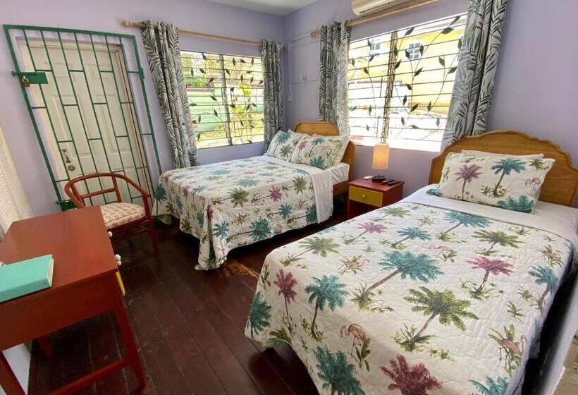 The Blue Orchid B&b