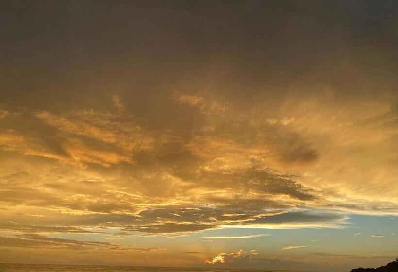 בית מלון כפרי Hare S Bar And Restaurant