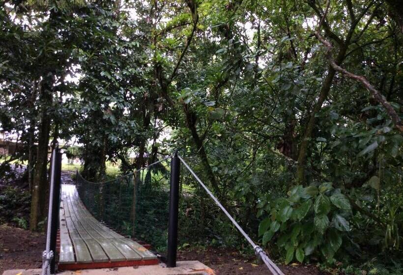 هتل Confort Arenal
