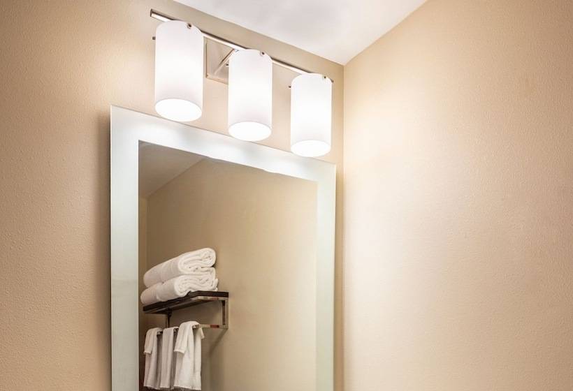 בית מלון כפרי Towneplace Suites By Marriott Fort Mill At Carowinds Blvd