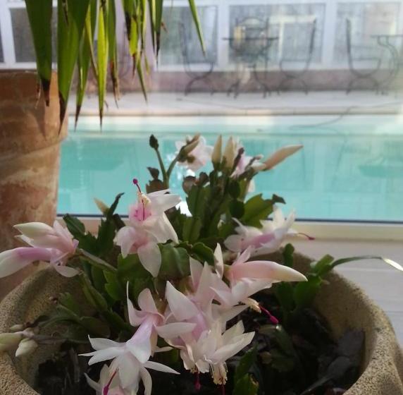 펜션 La Maison Des Alpilles