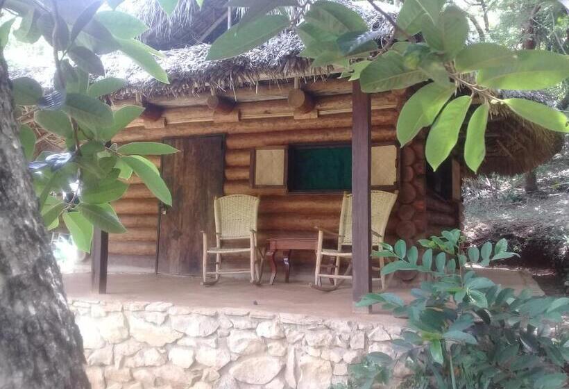 پانسیون Room In Lodge   Sierraverde Huasteca Potosina Cabins Palo De Rosa