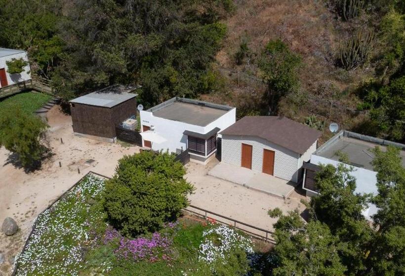 Cabañas Laguna De Zapallar Maitencillo