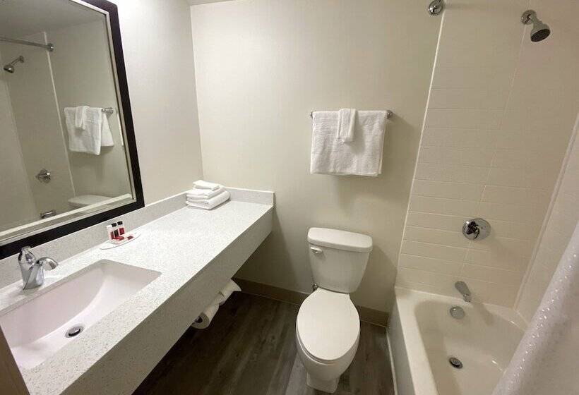 فندق University Inn Of Carbondale