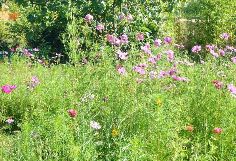 مبيت وإفطار Chambres D'hôtes Les 7 Semaines